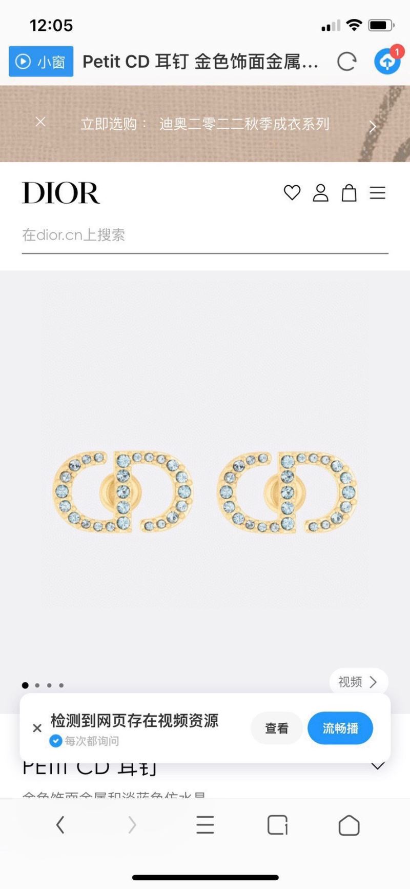 Christian Dior Earrings